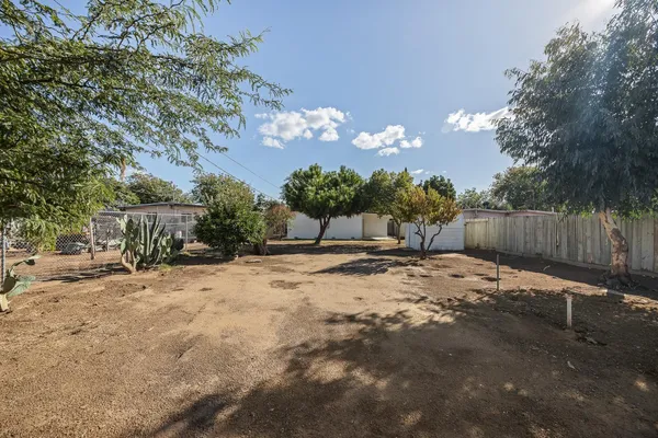 a view of a backyard with a tree