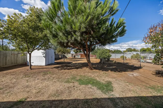 a view of a yard with a tree
