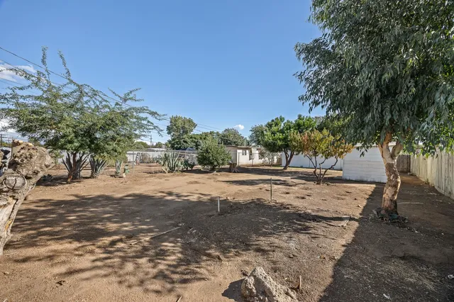 a view of a yard with plants and trees