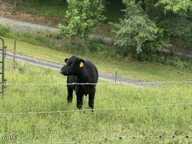 Tbd South Summer Sound Road Piney Flats, TN 37686 - Photo 5 of 22 IMG_8039