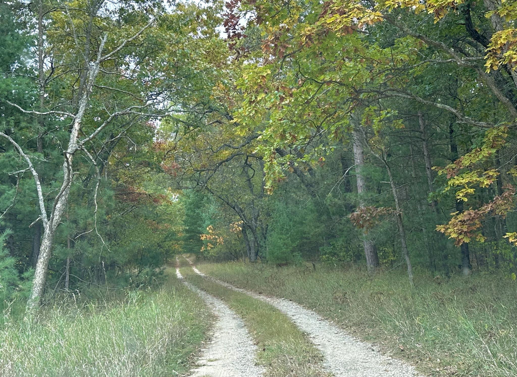 0 Old Camp Road Manistee, MI 49660 - Photo 4 of 22 Gallery Image 4
