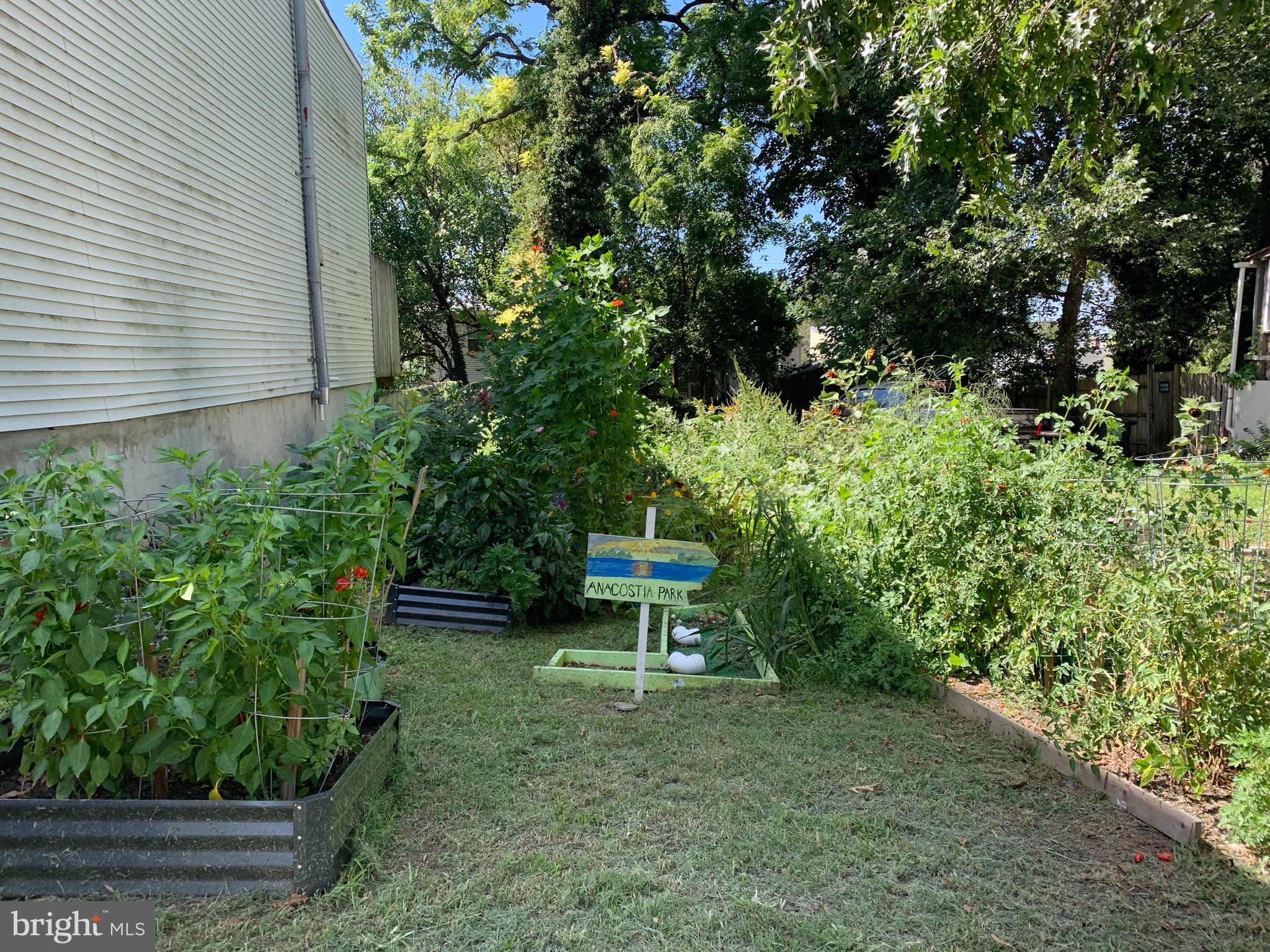2237 14th Street Southeast Washington, DC 20020 - Photo 32 of 32 Community garden