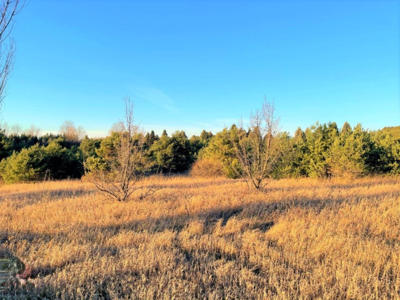 0 Faylor Road Copemish, MI 49625 - Photo 3 of 7 3 (Custom)