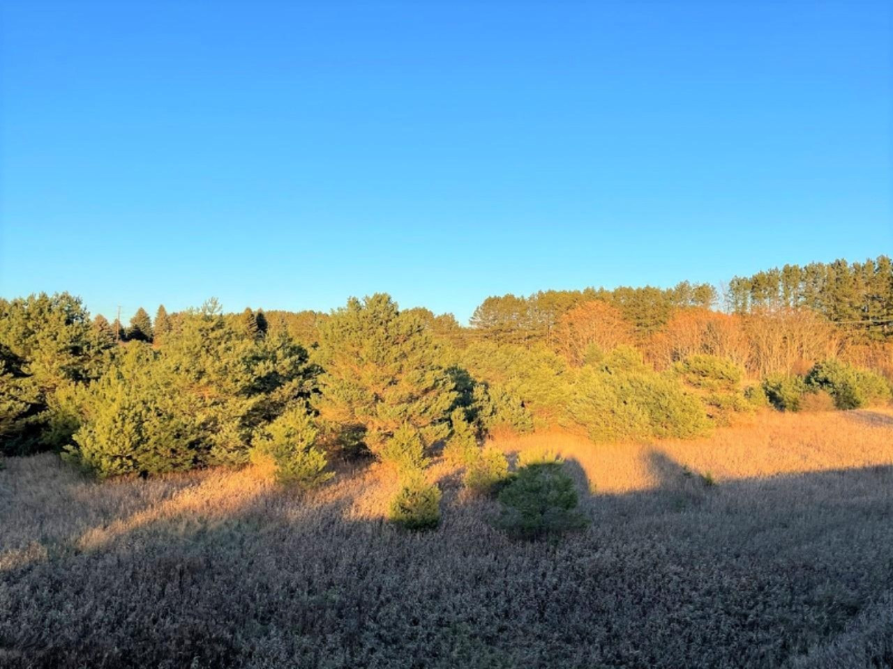 0 Faylor Road Copemish, MI 49625 - Photo 6 of 7 6 (Custom)