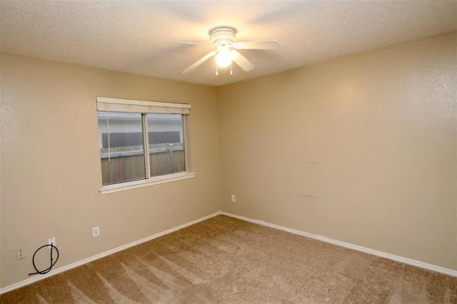 a view of a yard with large trees