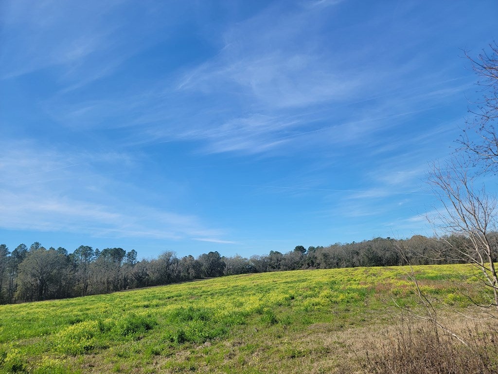 0 Radford Road Quitman, GA 31643 - Photo 2 of 9 Gallery Image 2