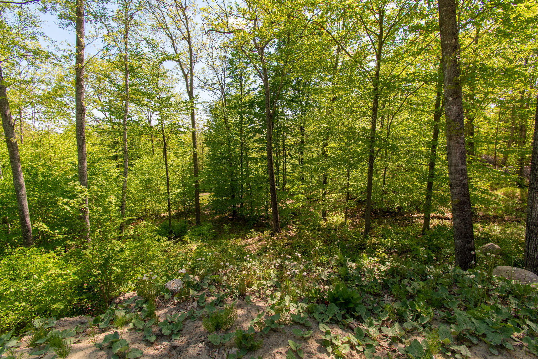 60 Oak Ridge Road Durham, ME 04222 - Photo 60 of 63 14-web-or-mls-Durham-4