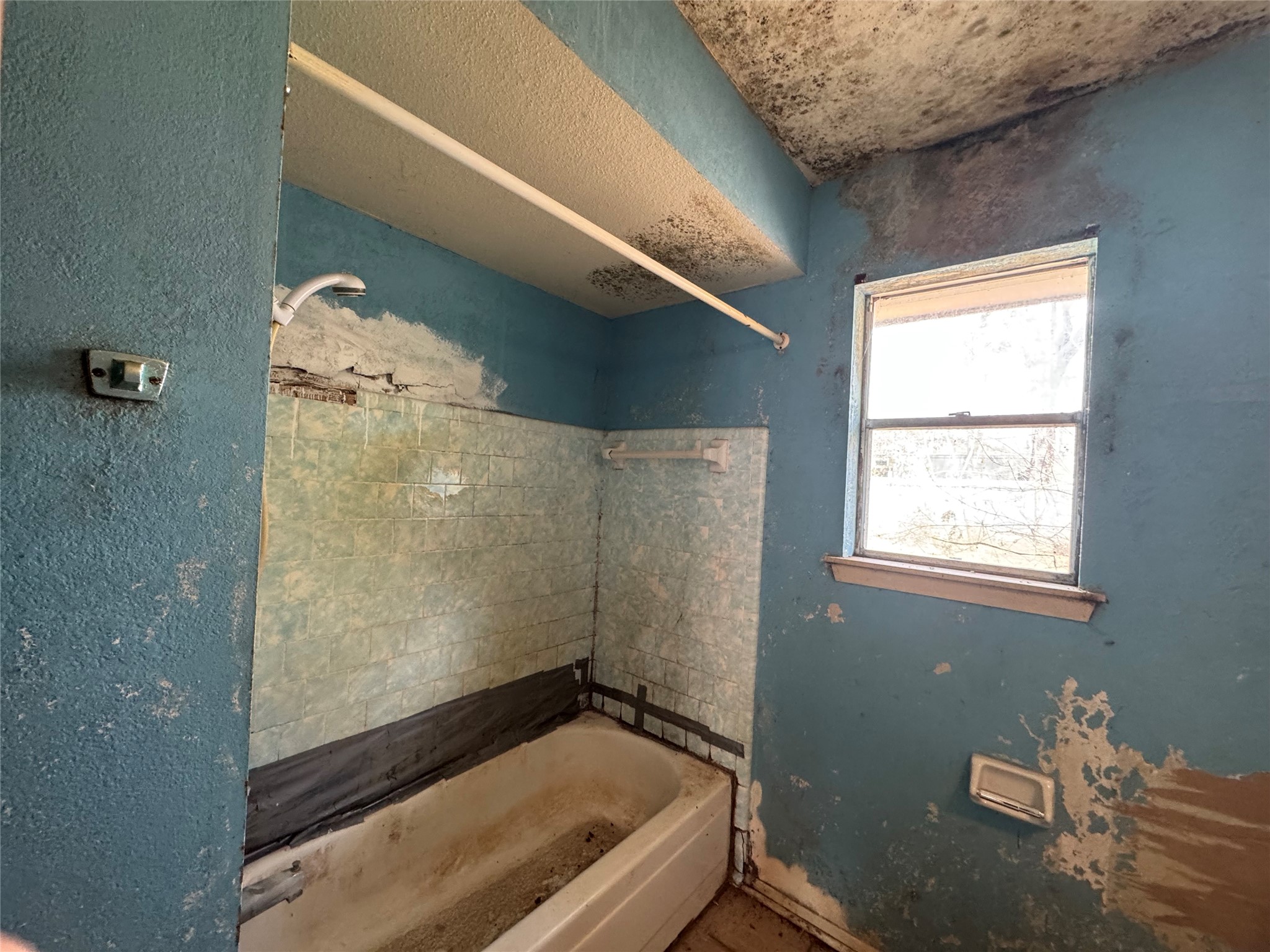 317 Bob Wills Road Livingston, TX 77351 - Photo 14 of 24 a bathroom with a window and a shower