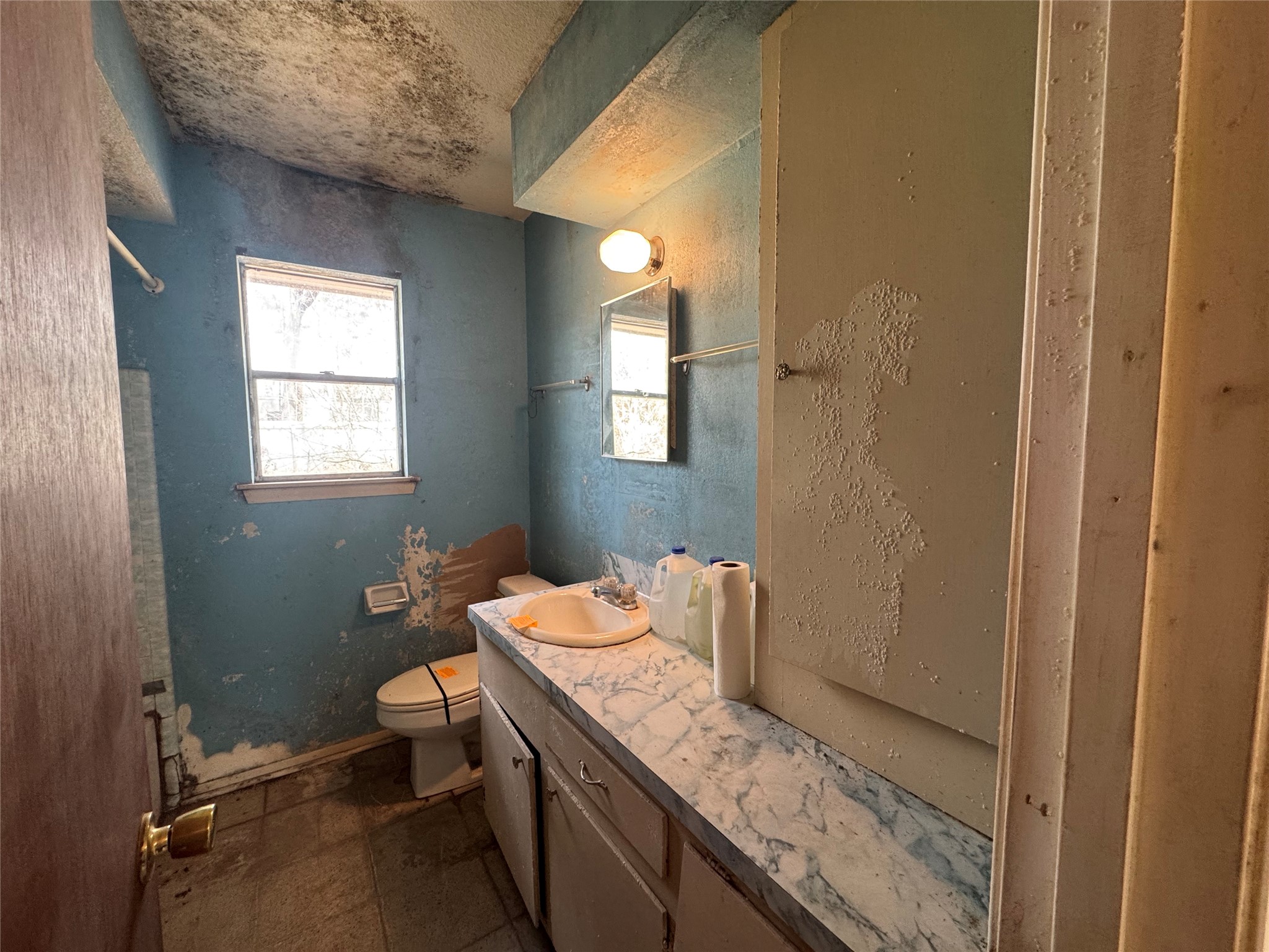 317 Bob Wills Road Livingston, TX 77351 - Photo 15 of 24 a bathroom with a granite countertop sink toilet and mirror