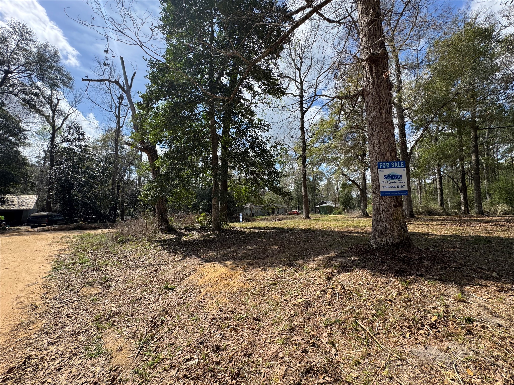 317 Bob Wills Road Livingston, TX 77351 - Photo 20 of 24 a view of a tree in the middle of a yard