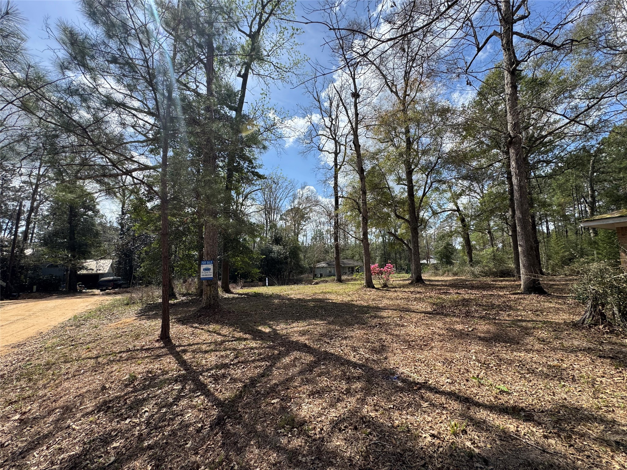 317 Bob Wills Road Livingston, TX 77351 - Photo 21 of 24 a view of road with trees