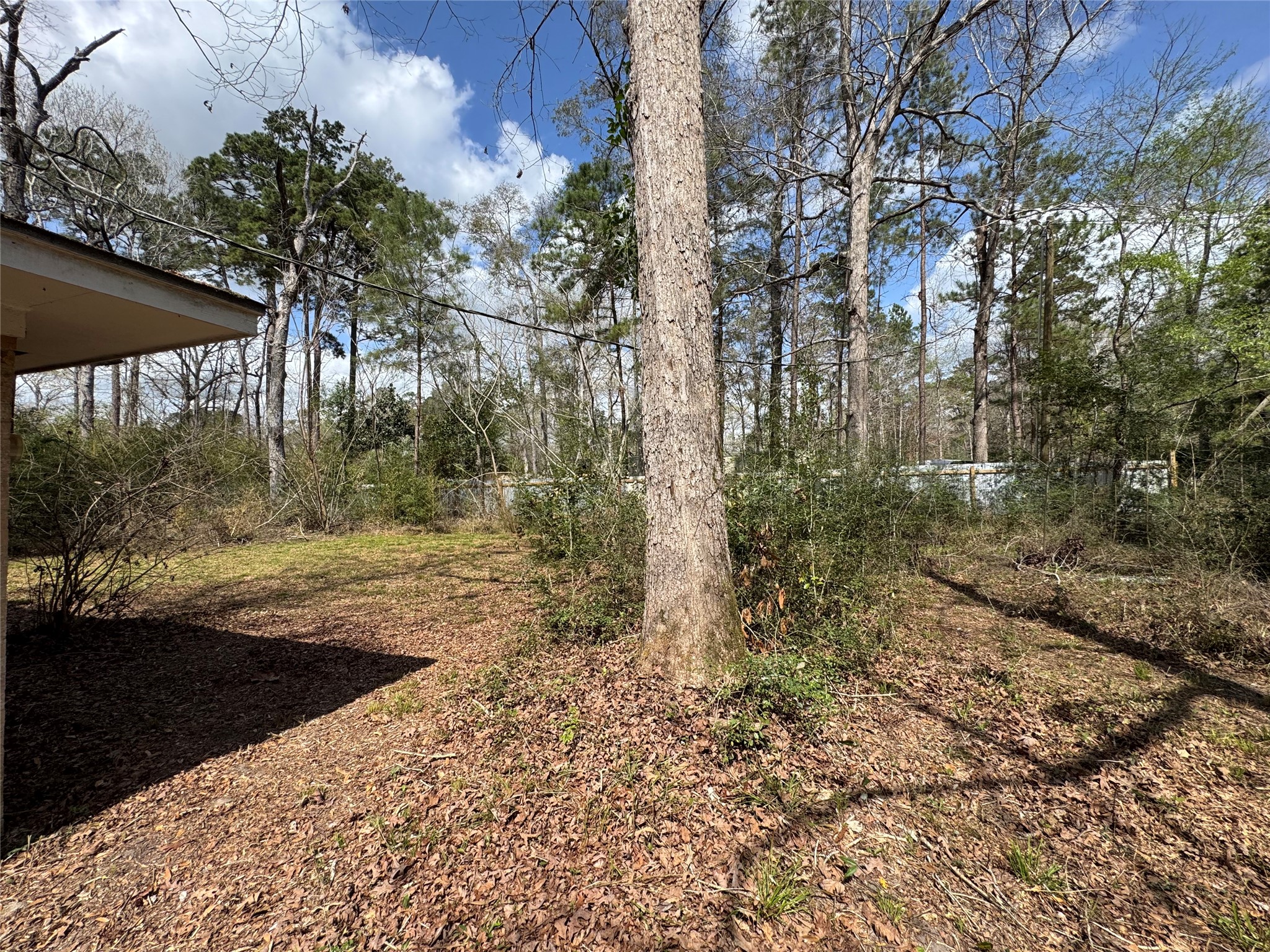 317 Bob Wills Road Livingston, TX 77351 - Photo 22 of 24 a view of a backyard