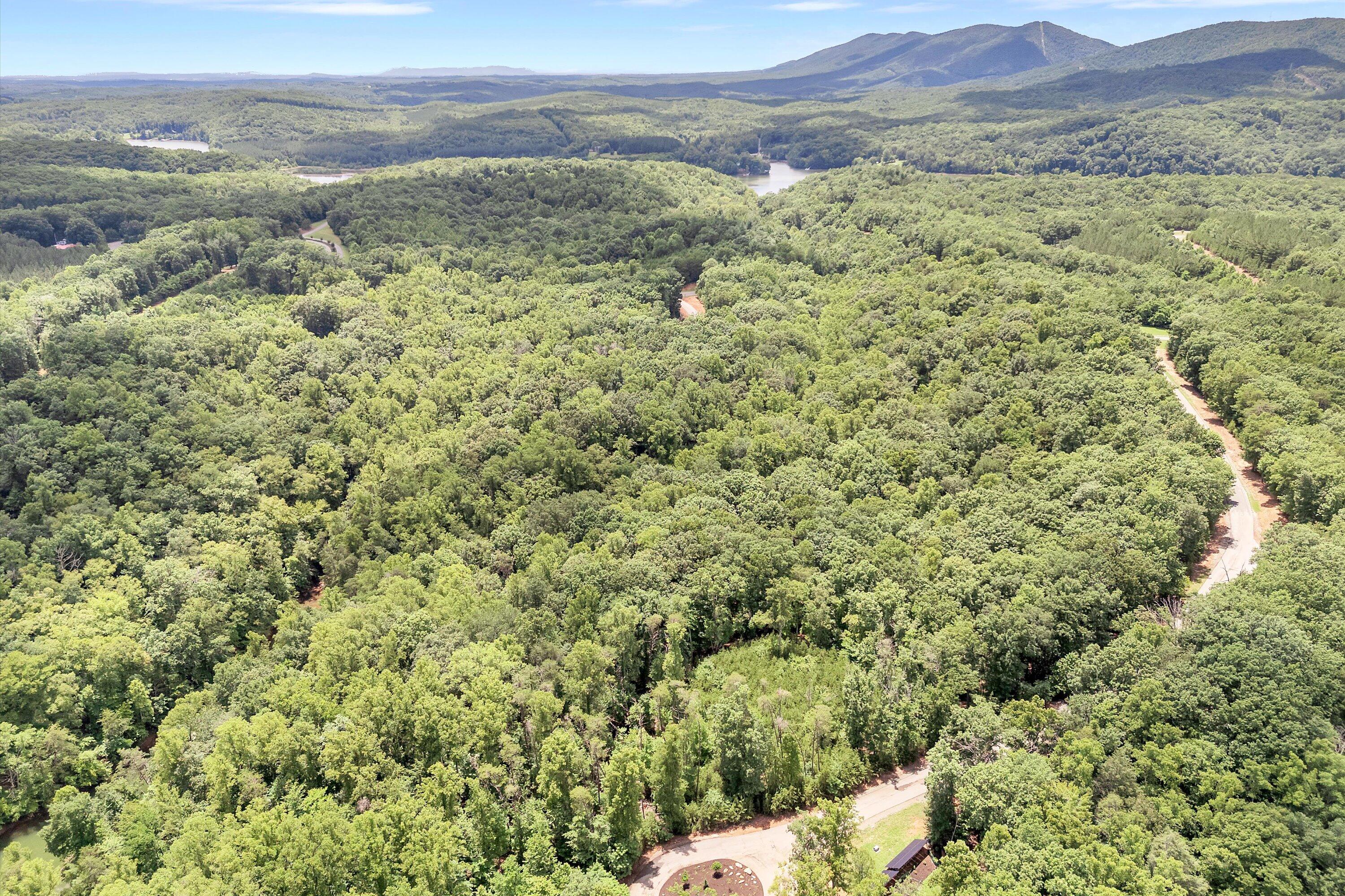 Lot 171 Talon Ridge Court Pittsville, VA 24139 - Photo 13 of 21 a view of a field with trees in the background
