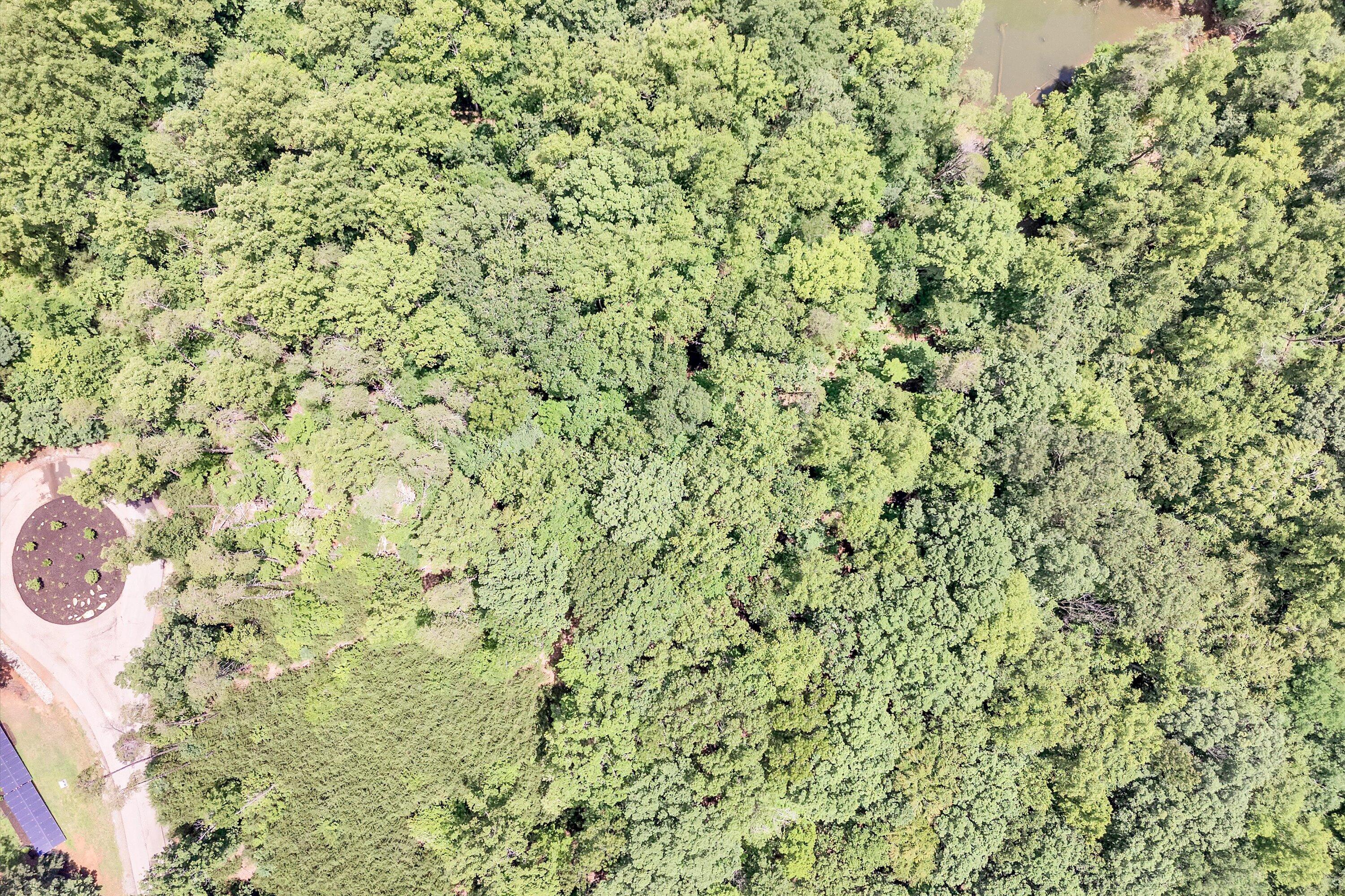 Lot 171 Talon Ridge Court Pittsville, VA 24139 - Photo 20 of 21 a view of a small yard