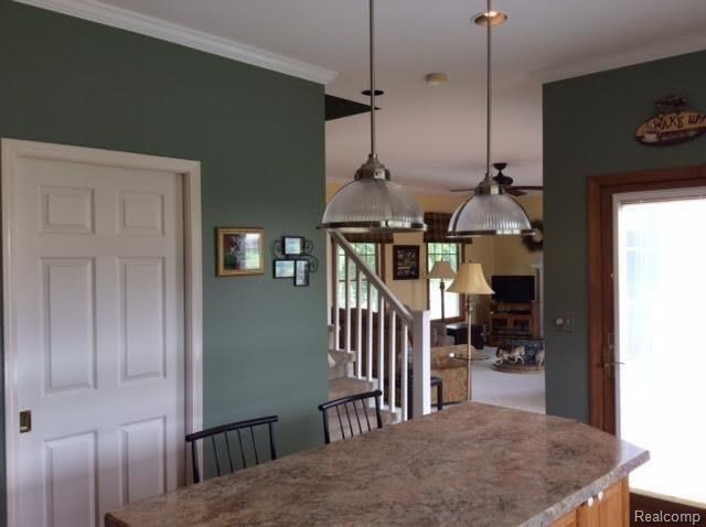 14705 Reid Road Romeo, MI 48065 - Photo 8 of 40 14705 Reid Kitchen4.jpg