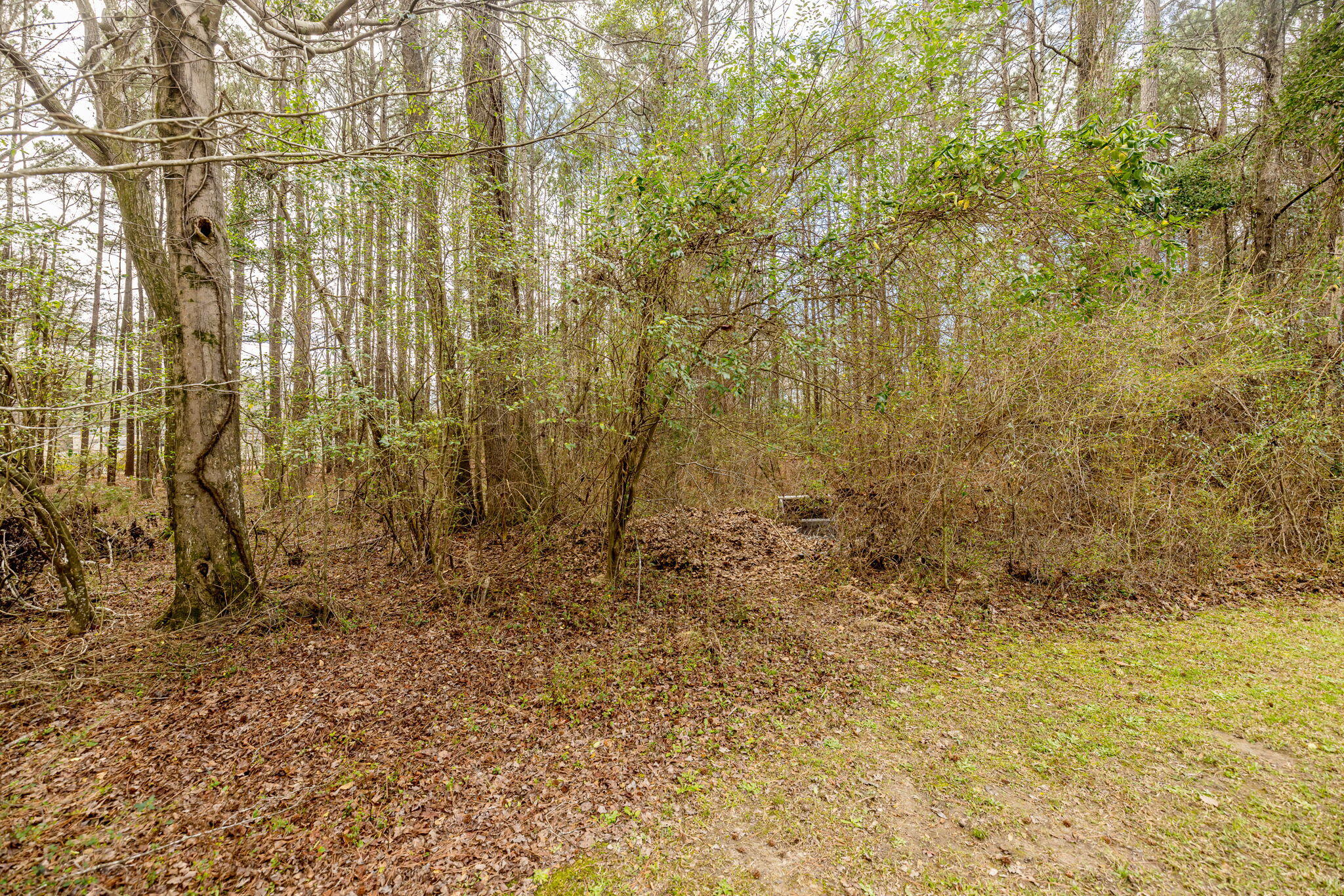 1565 Powell Church Road Harlem, GA 30814 - Photo 35 of 41 SBP_6022