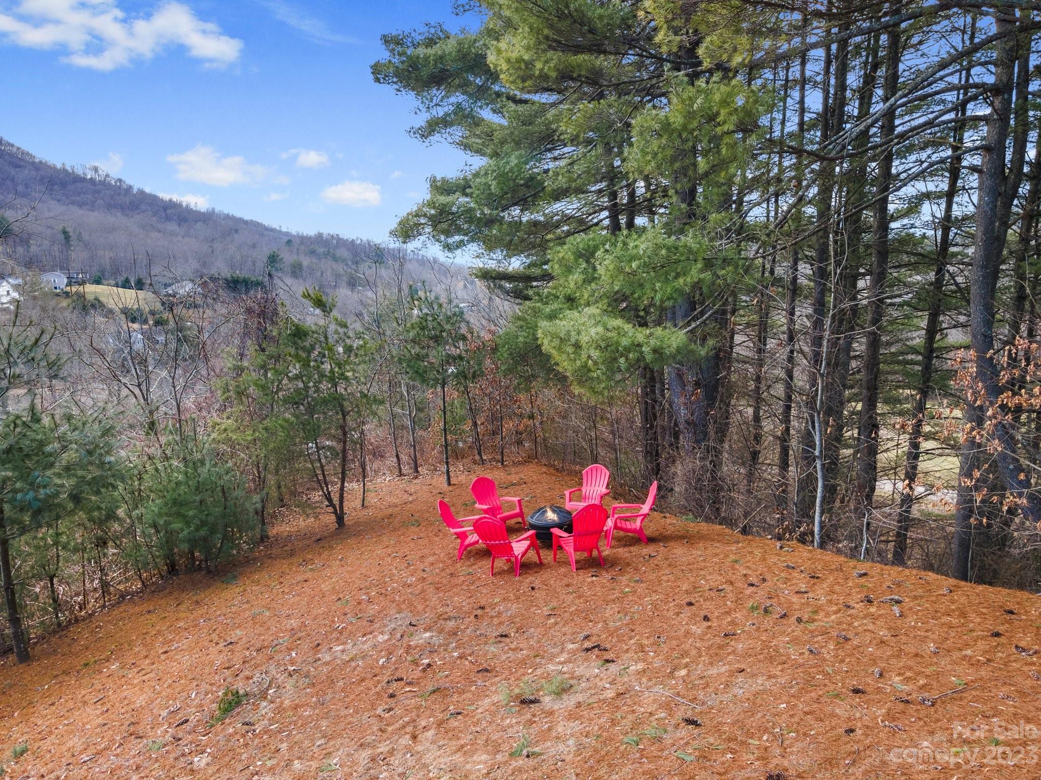 174 Diamond Point Canton, NC 28716 - Photo 38 of 43 a view of a backyard with large trees