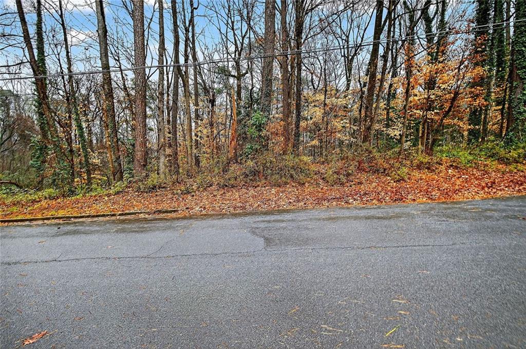 0 Glenview Drive Southwest Atlanta, GA 30331 - Photo 3 of 11