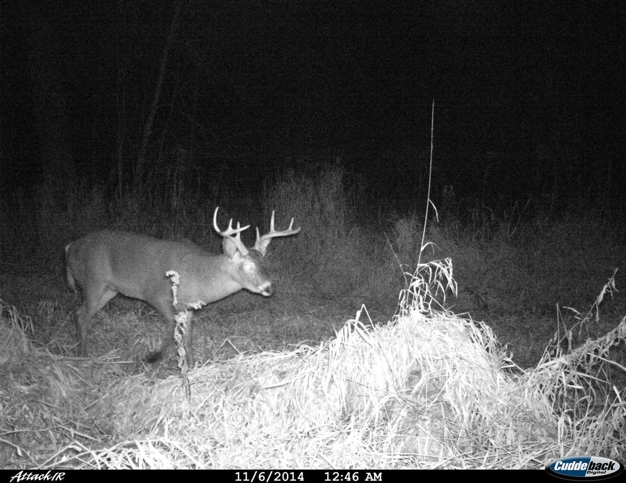 0 South State Road Owosso, MI 48867 - Photo 5 of 13