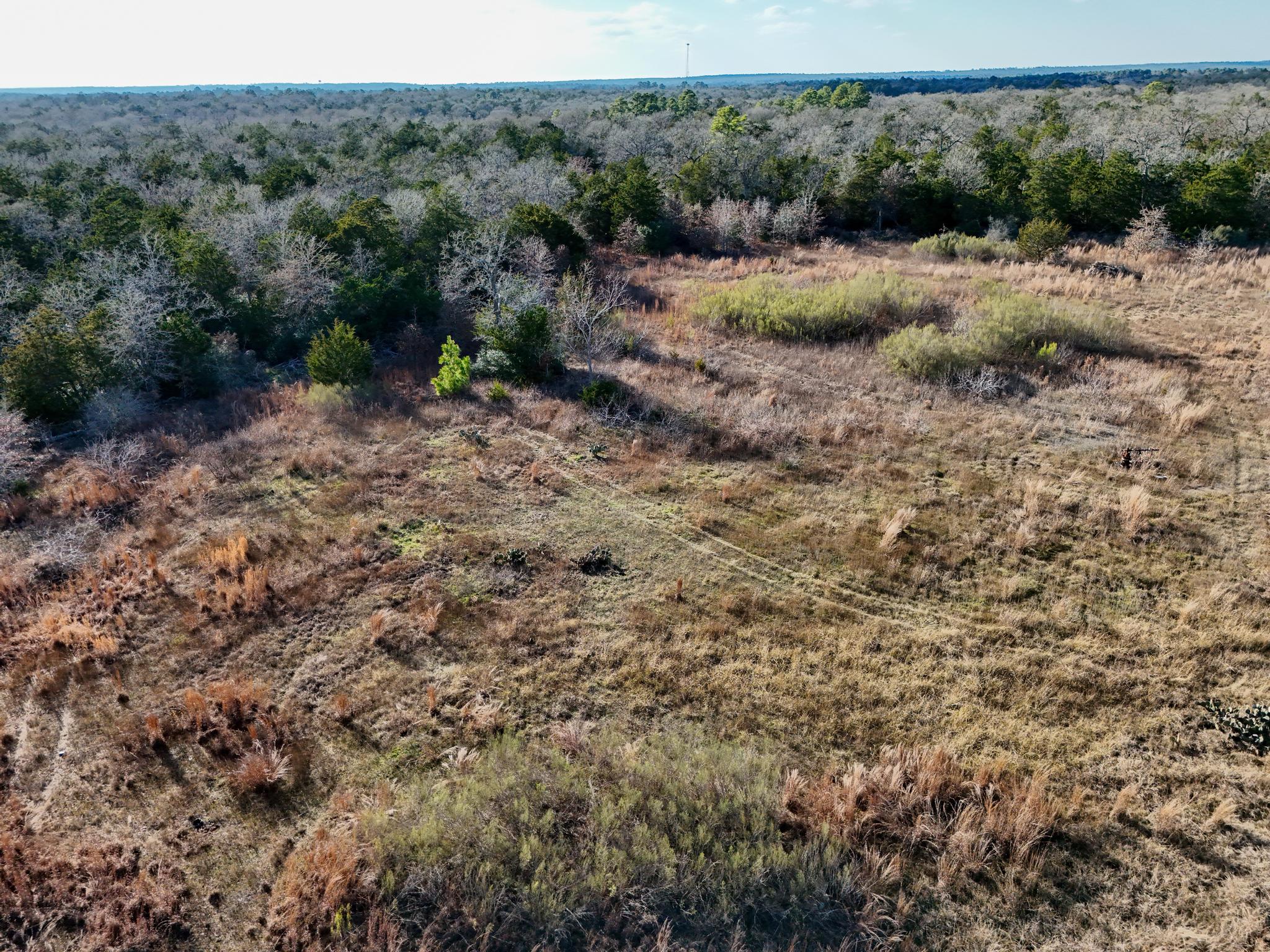 Lot 7 South Old Potato Road Paige, TX 78659 - Photo 19 of 22 Overview of rural landscape