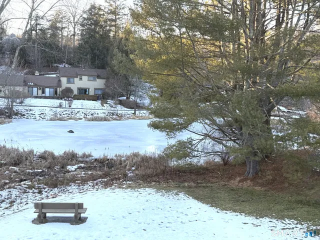 a view of a swimming pool with a yard
