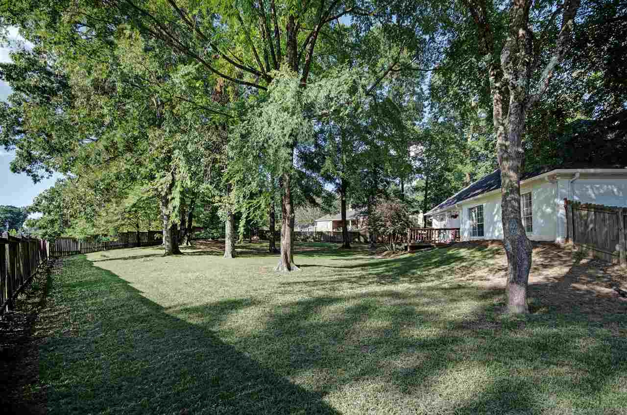 399 Pinewood Lane Ridgeland, MS 39157 - Photo 36 of 38 Photo 36