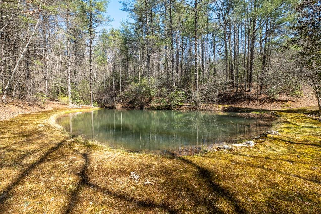 3270 Ebenezer Road Murphy, NC 28906 - Photo 4 of 67