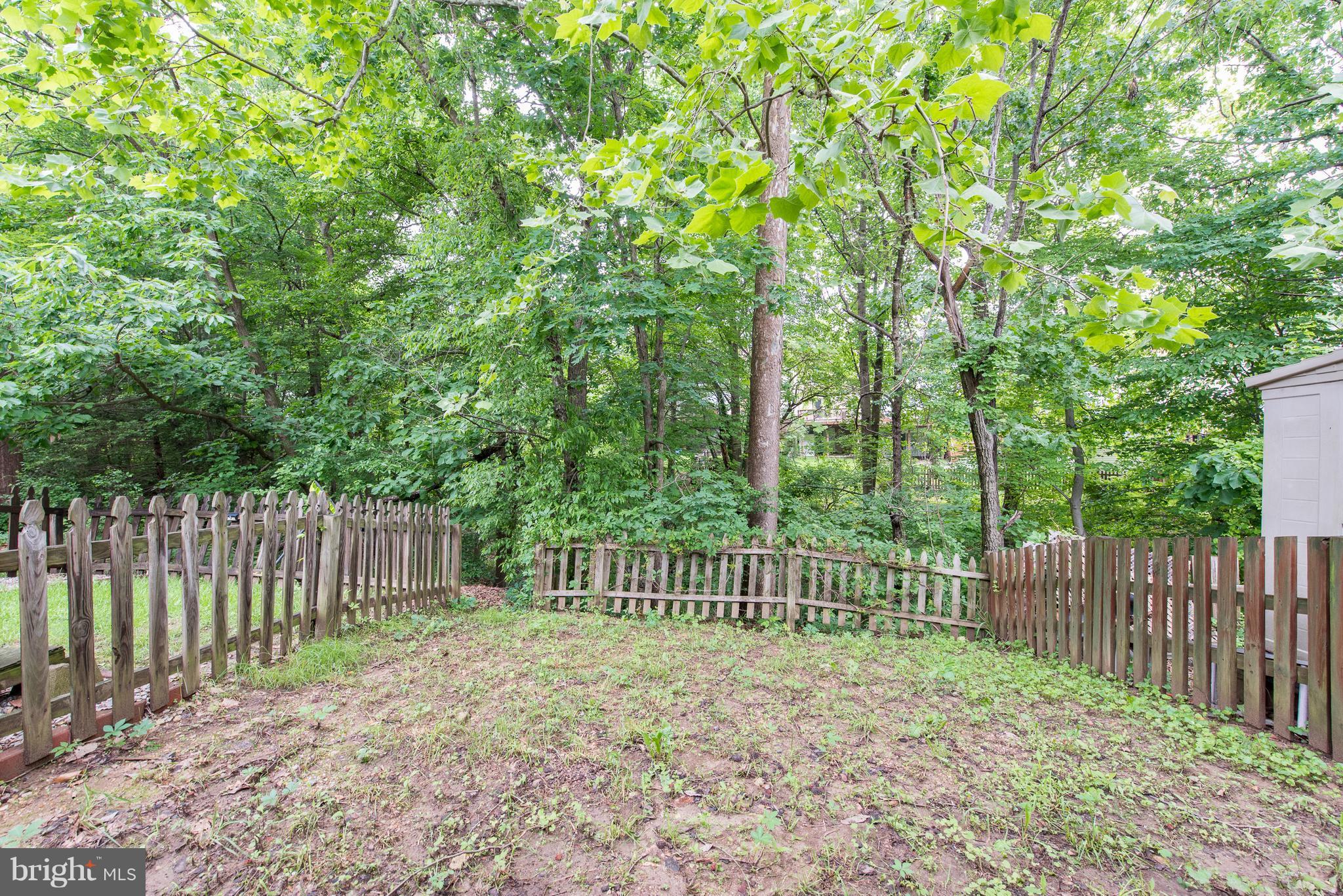 35 Hyacinth Road Baltimore, MD 21234 - Photo 21 of 23 a garden view