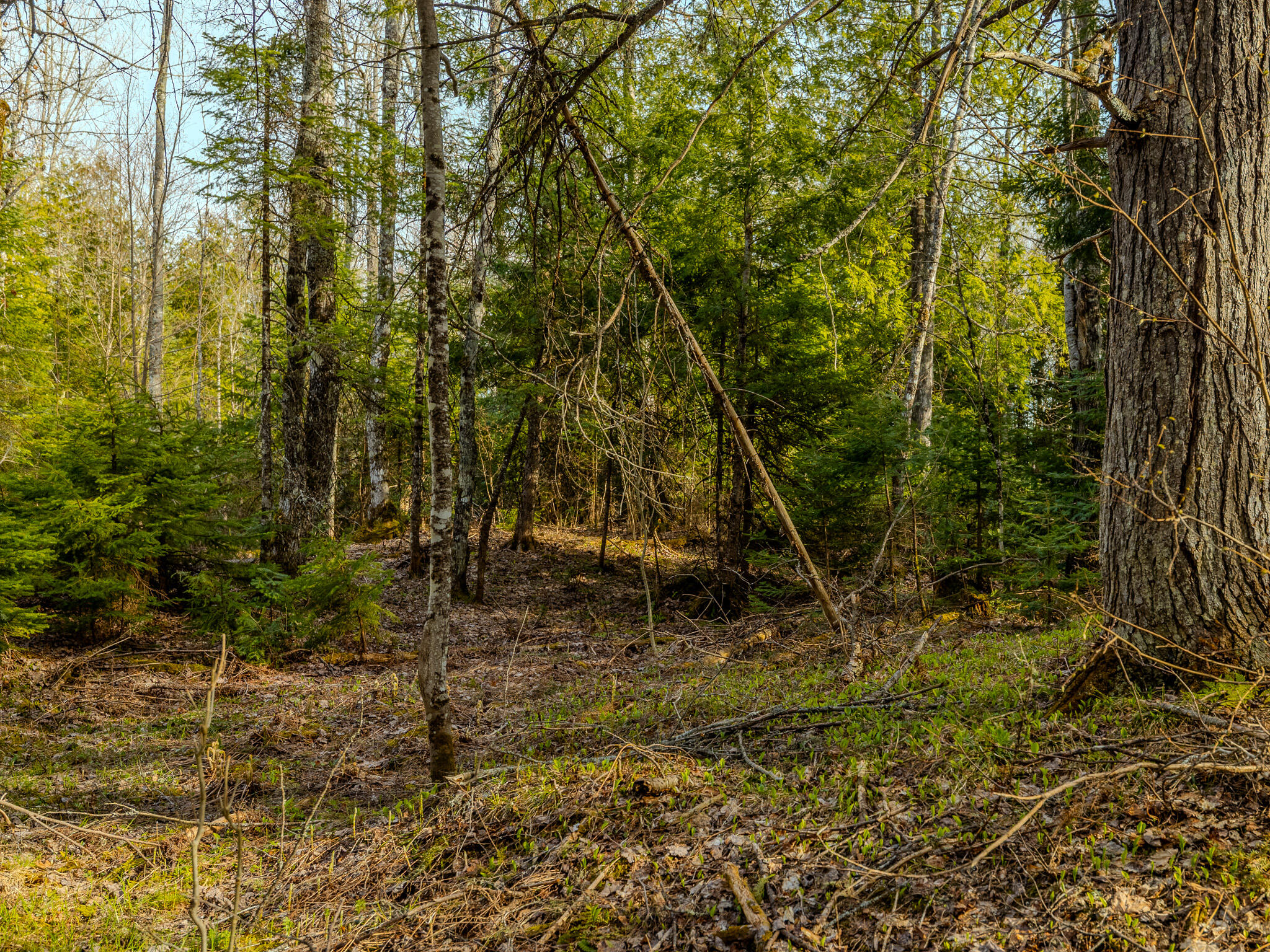 Lot 9 Horoscope Road Pelkie, MI 49958 - Photo 12 of 12 048A2219-HDR