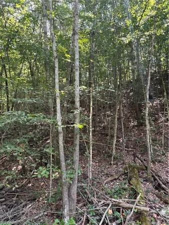 $17,900 | 0 Rolling Hill Drive, Tobaccoville, NC 27050