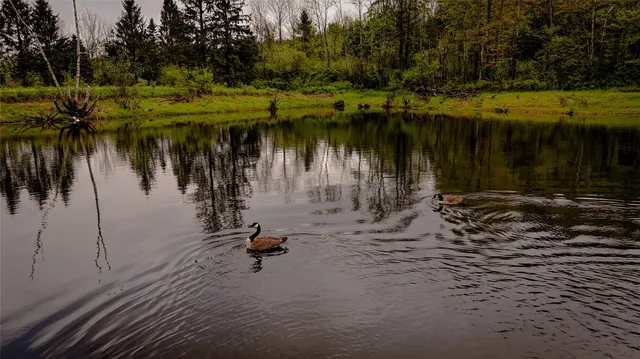 a view of a lake view
