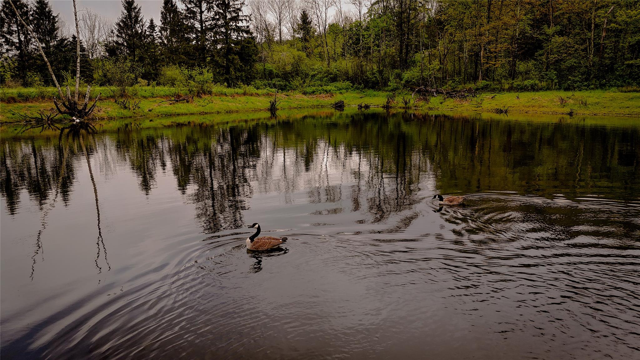 187 Hahn Road Jeffersonville, NY 12748 - Photo 5 of 9 a view of a lake view
