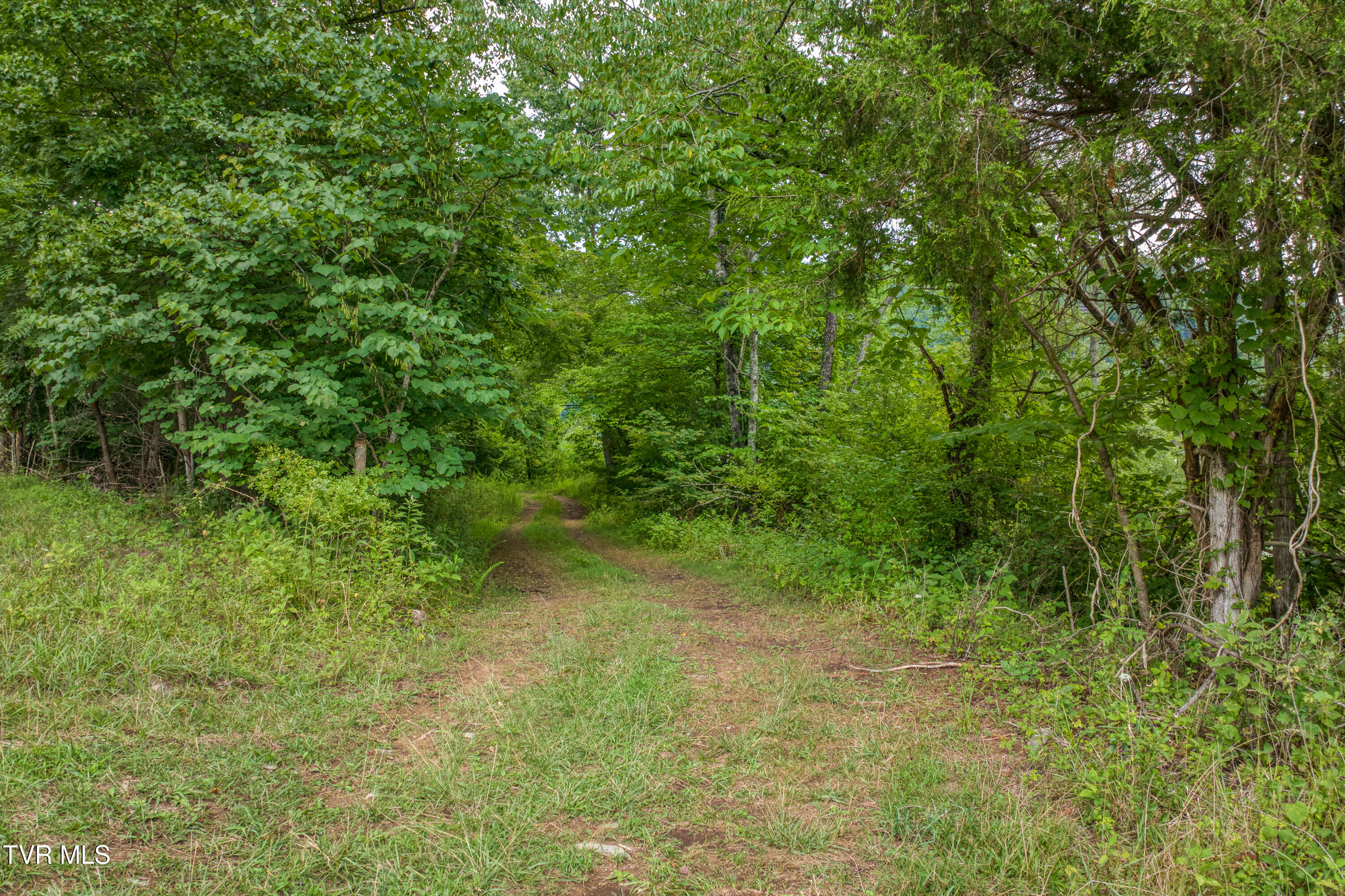 Tbd Tbd Cowan Town And Wolfe Lane Road Butler, TN 37640 - Photo 18 of 29 CTRTBD_DJI_0278-12