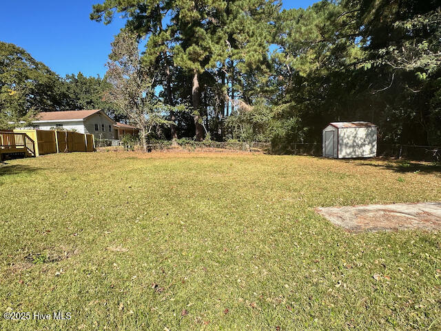422 Pine Valley Road Jacksonville, NC 28546 - Photo 56 of 56 Backyard