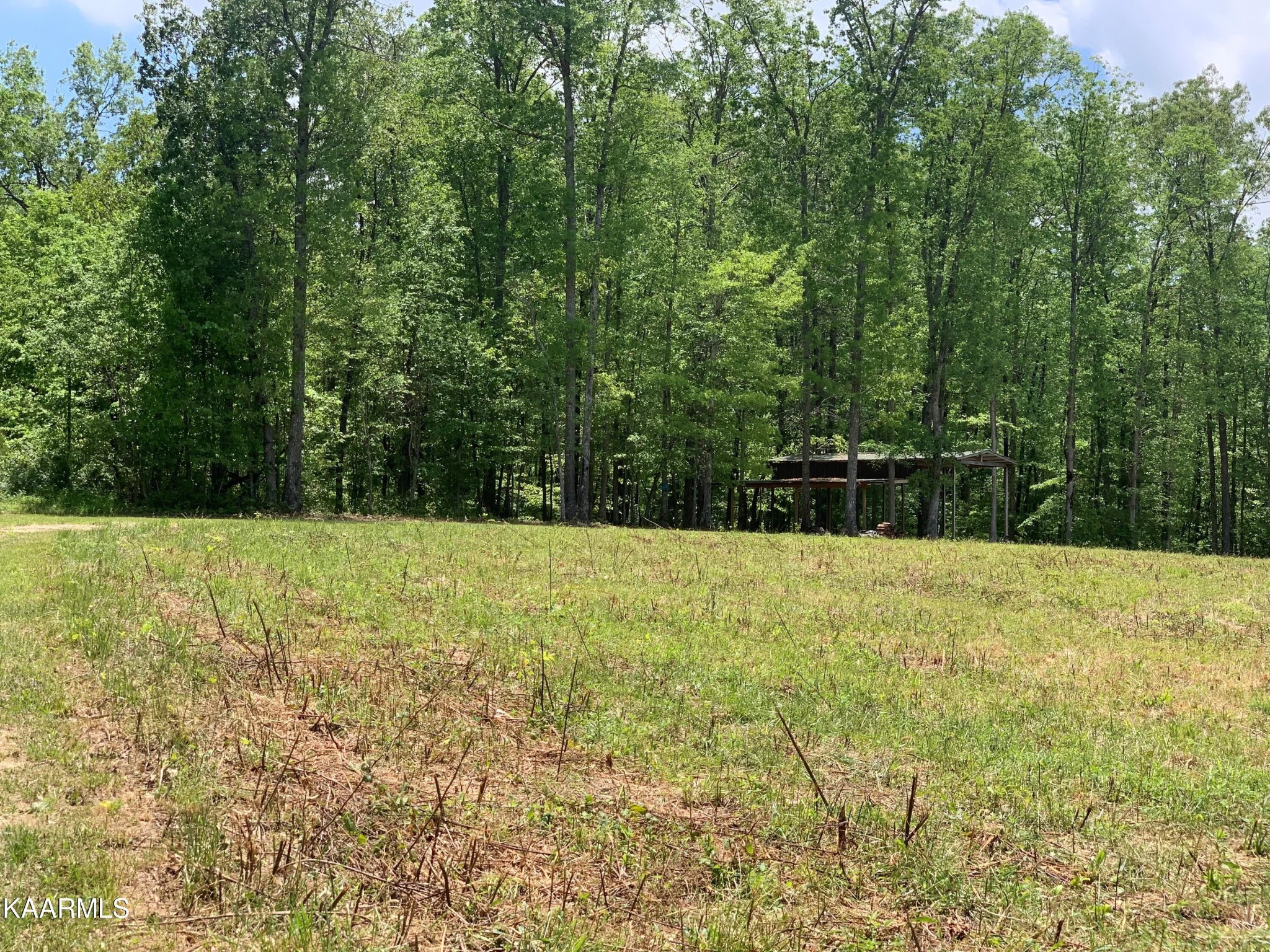 0 Lovejoy Road Sparta, TN 38583 - Photo 2 of 10