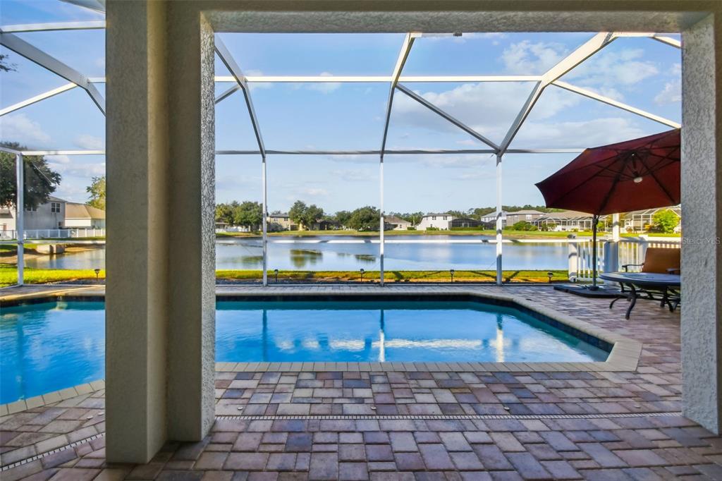 4603 Walnut Ridge Road Land O' Lakes, FL 34638 - Photo 71 of 95 Gallery Image 71