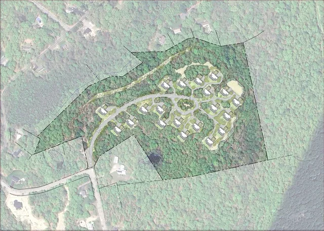 a view of a tree in a room