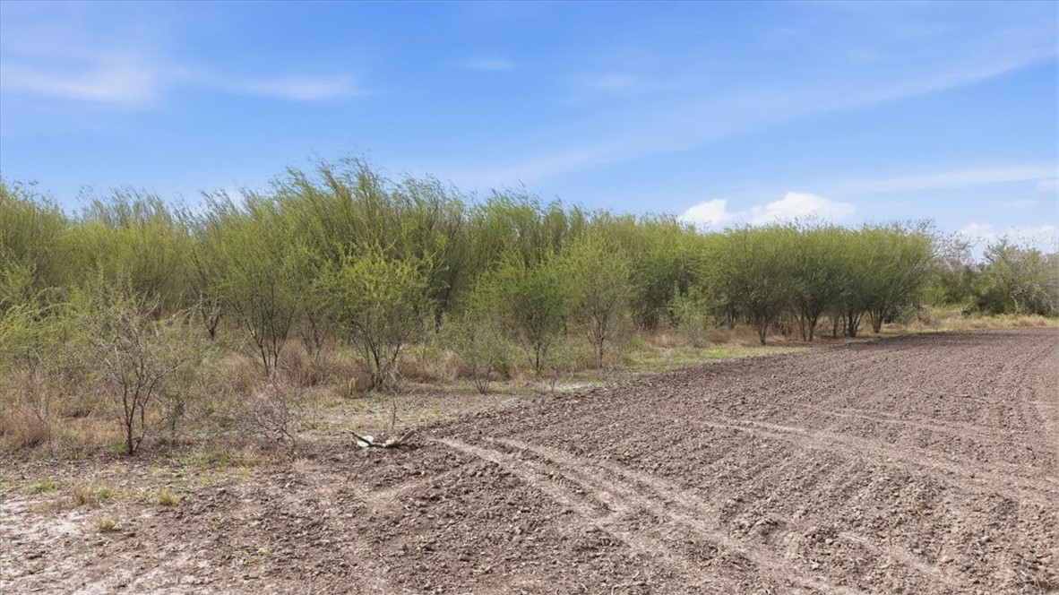 0 County Road 211 Alice, TX 78332 - Photo 11 of 30