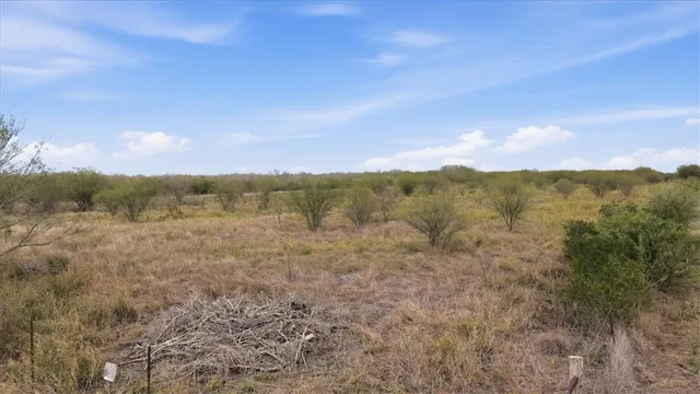 $920,400 | 0 County Road 211, Alice, TX 78332