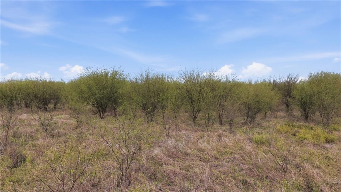 0 County Road 211 Alice, TX 78332 - Photo 4 of 30