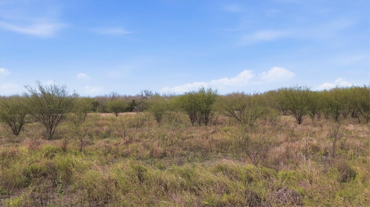 0 County Road 211 Alice, TX 78332 - Photo 5 of 30