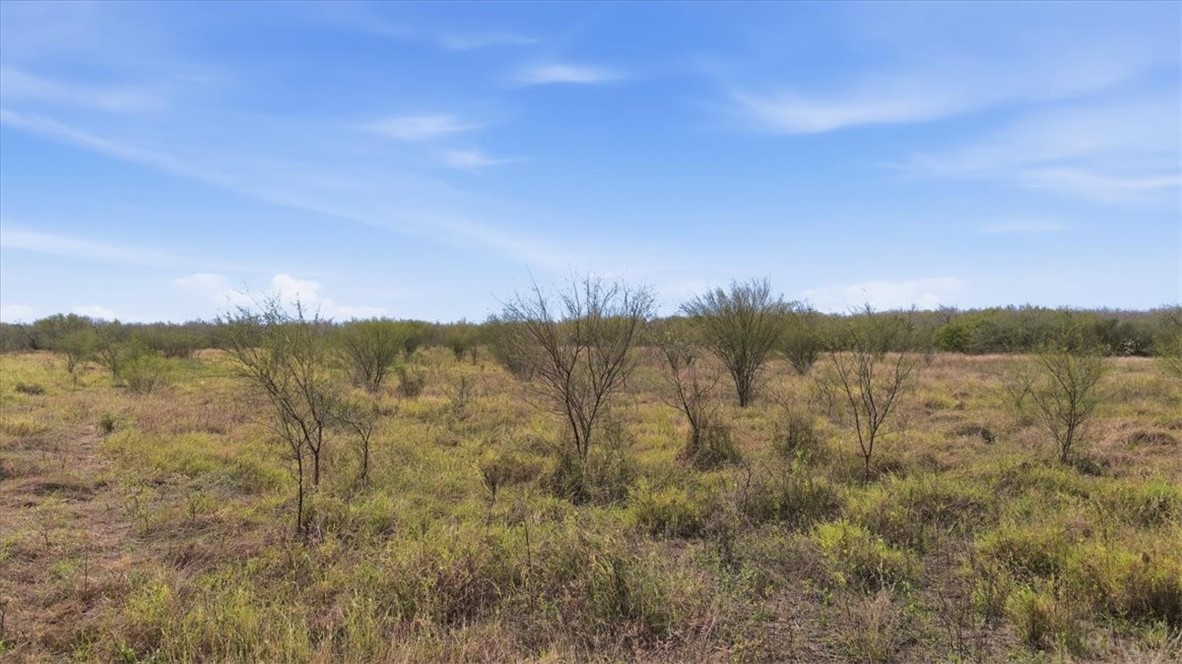 0 County Road 211 Alice, TX 78332 - Photo 6 of 30
