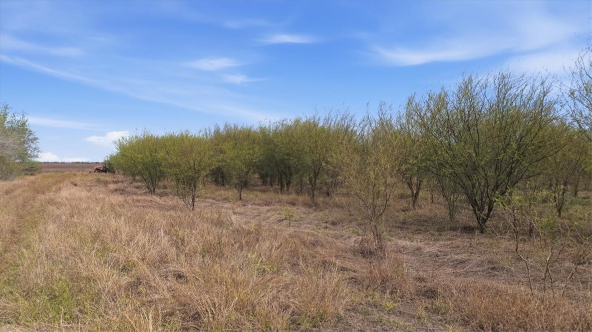 0 County Road 211 Alice, TX 78332 - Photo 7 of 30
