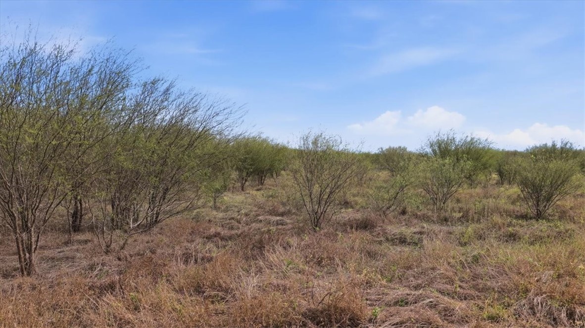 0 County Road 211 Alice, TX 78332 - Photo 8 of 30