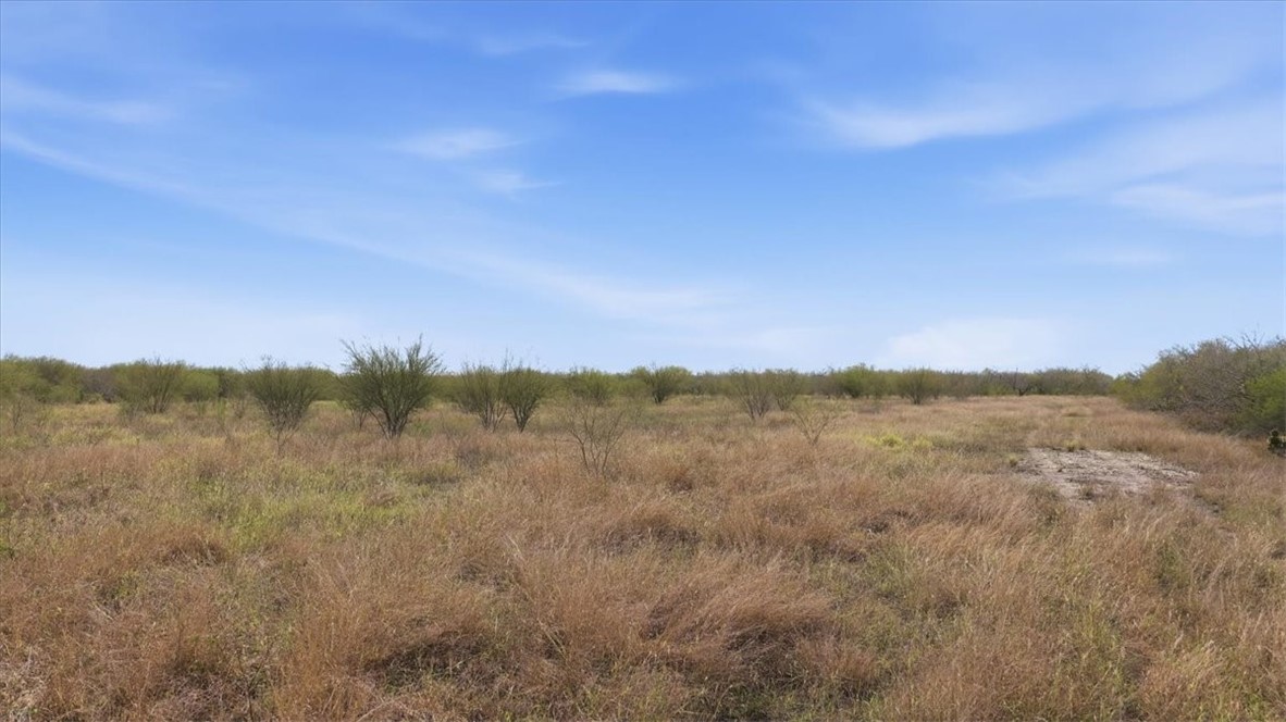 0 County Road 211 Alice, TX 78332 - Photo 9 of 30