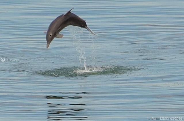 $360,000 | 7901 Hispanola Avenue, Unit 1803, North Bay Village, FL 33141