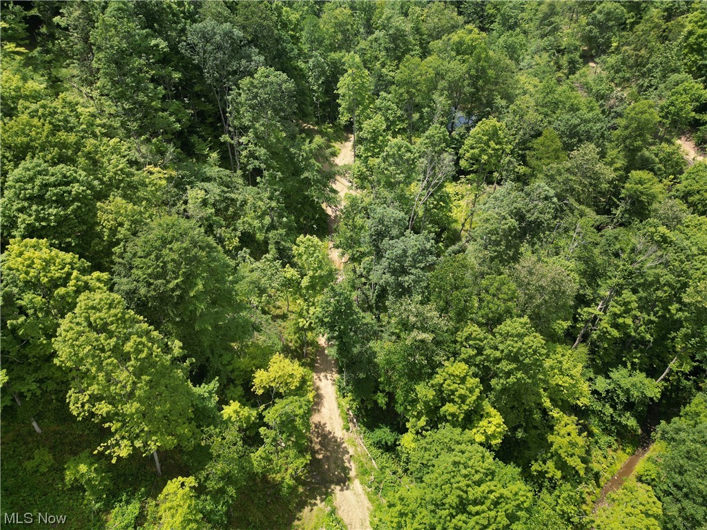 4101 Sand Ridge Road Normantown, WV 25267 - Photo 12 of 23