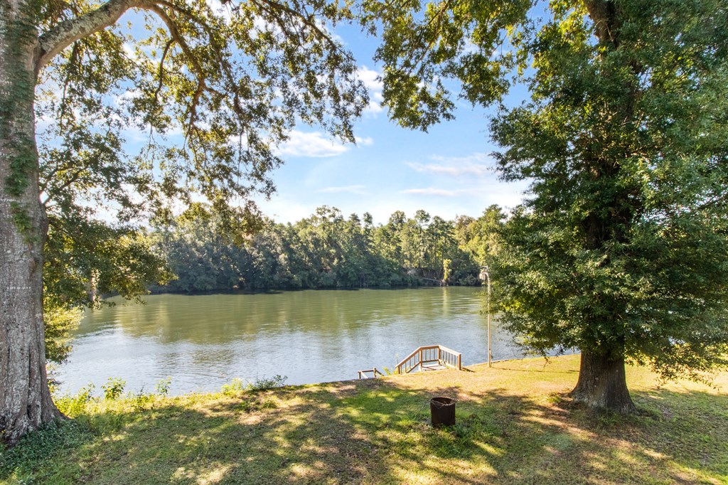 103 River Road Columbia, AL 36319 - Photo 10 of 25