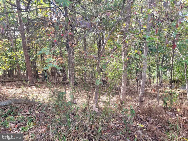 a view of lake with mountain