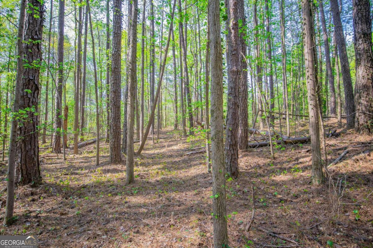 0 White City Road, Unit 9 Atlanta, GA 30337 - Photo 1 of 1 a view of backyard with green space